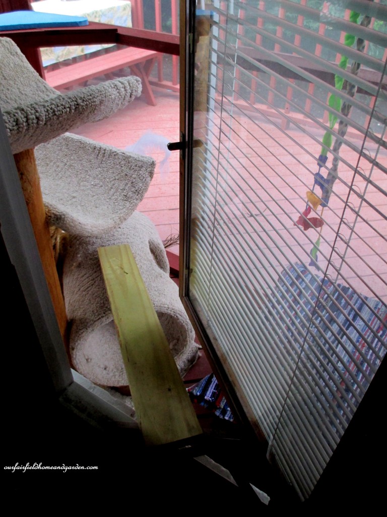 Catio https://lolajack.jp.net/build-a-catio-a-tiny-screen-house-for-kitty-cats/