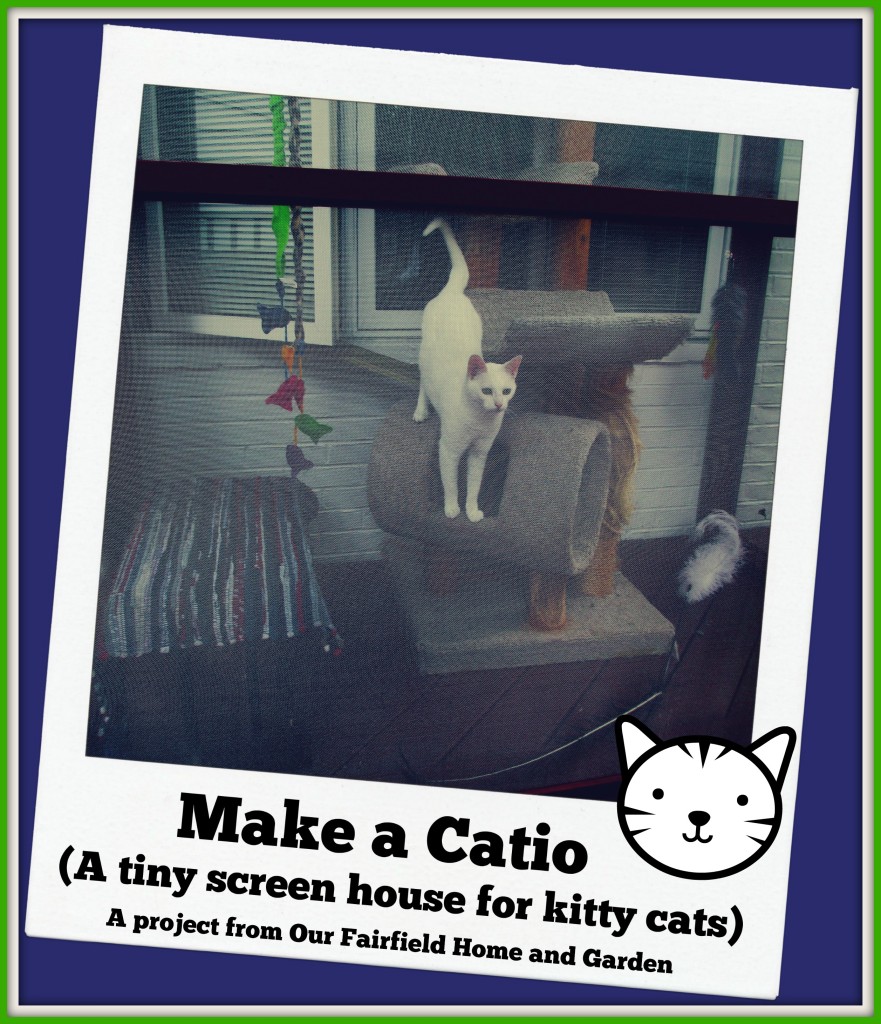 Catio https://lolajack.jp.net/build-a-catio-a-tiny-screen-house-for-kitty-cats/
