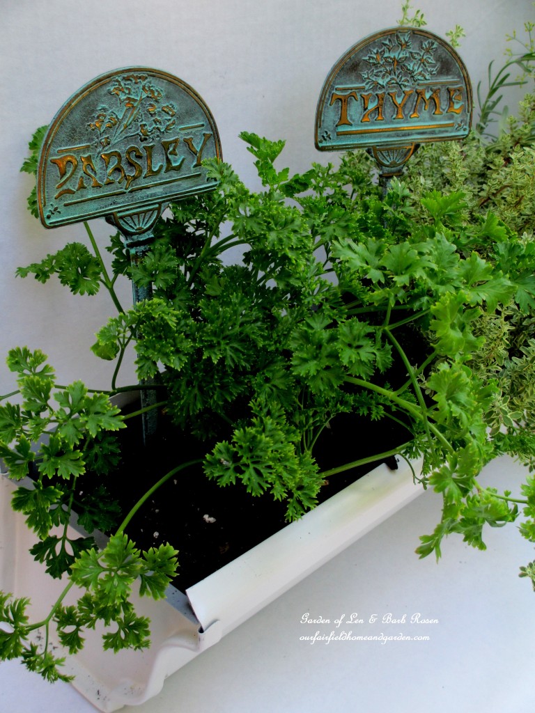 Prsley & Time in the Windowsill Windowbox https://lolajack.jp.net/diy-windowsill-windowboxes/