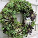 Make a Succulent Wreath https://lolajack.jp.net/diy-project-make-a-succulent-wreath/