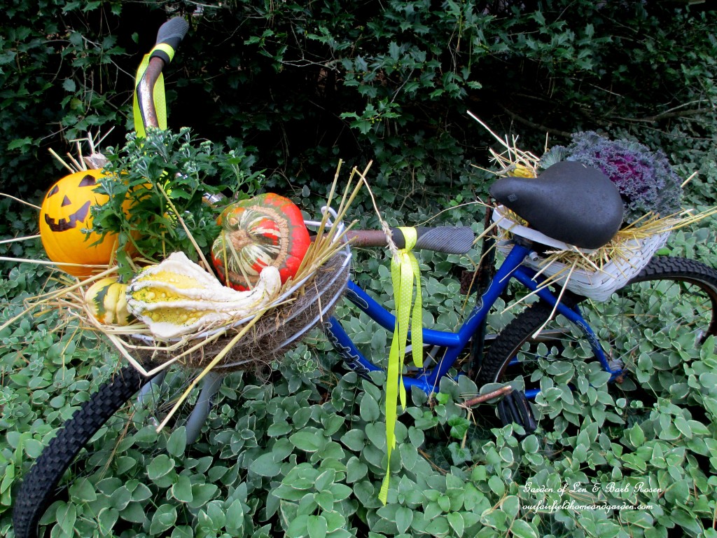 Decorate a Fall Bike Planter! https://lolajack.jp.net/fall-outdoor-decor-our-fairfield-home-and-garden/