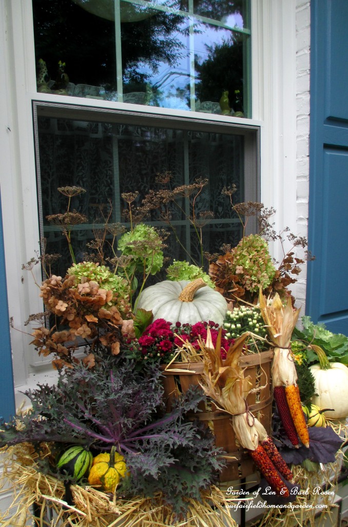 Fall Windowbox https://lolajack.jp.net/fall-outdoor-decor-our-fairfield-home-and-garden/