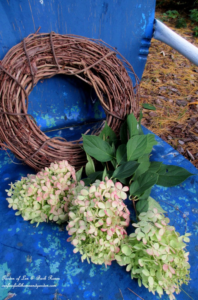 Materials to make a Hydrangea wreath https://lolajack.jp.net/diy-free-fall-wreath-using-hydrangeas/