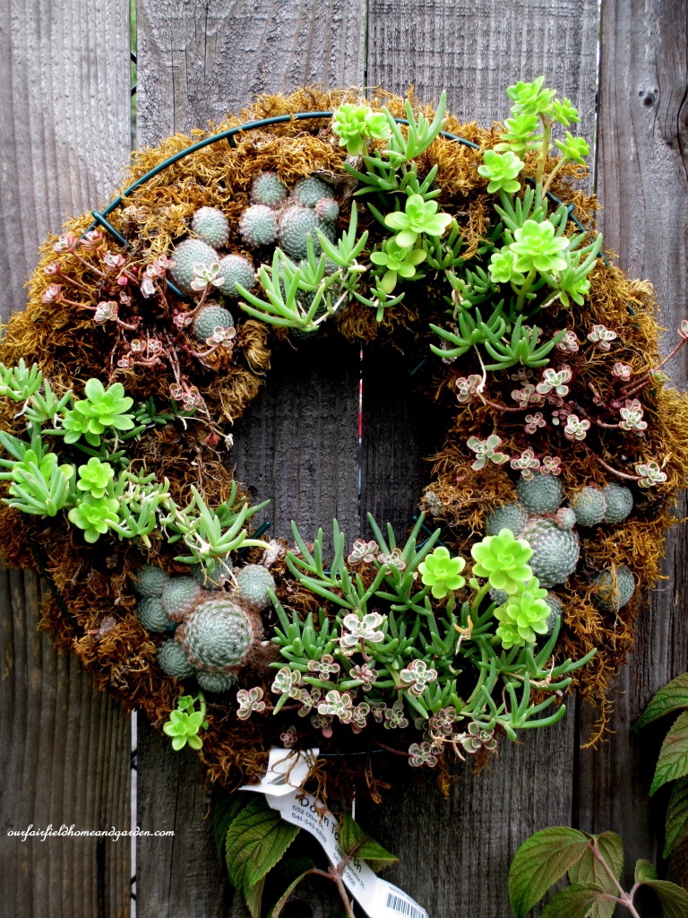 Succulent Wreath https://lolajack.jp.net/unexpected-garden-accents/