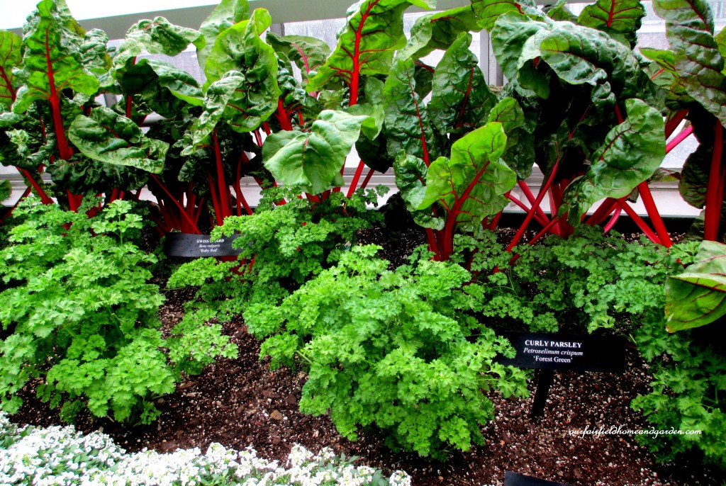 Greenhouse Vegetables https://lolajack.jp.net/a-visit-to-longwood-gardens-orchid-extravaganza-2015/