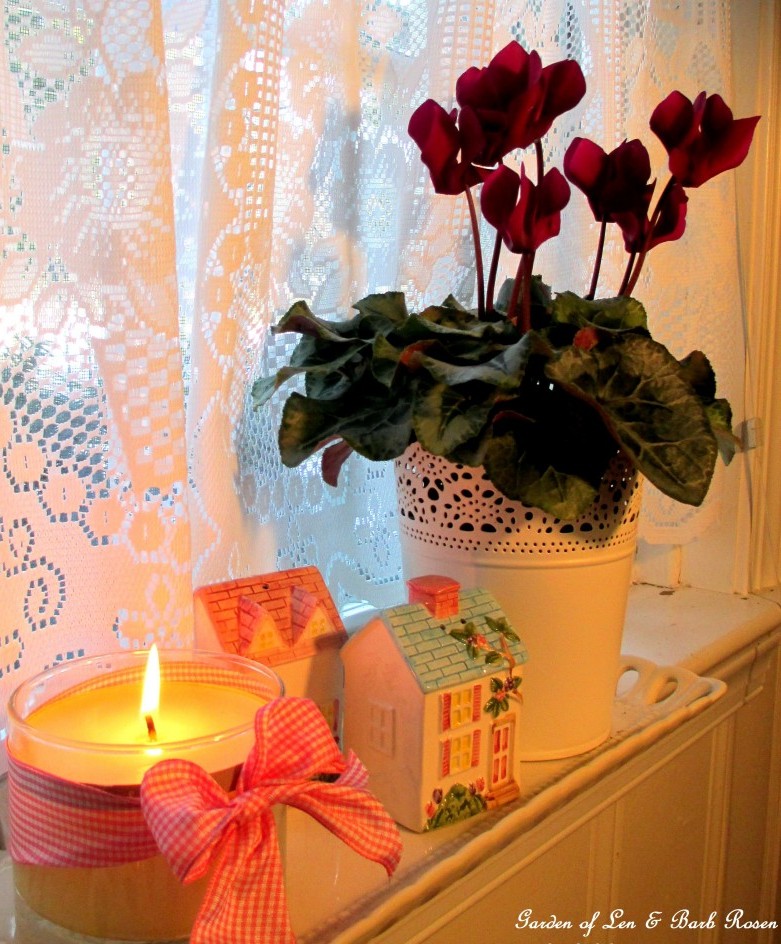 Candles and cyclamen https://lolajack.jp.net/be-my-valentine-win-an-amaryllis/