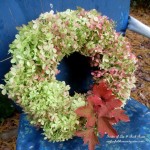 Dried Hydrangea Wreath https://lolajack.jp.net/diy-free-fall-wreath-using-hydrangeas/