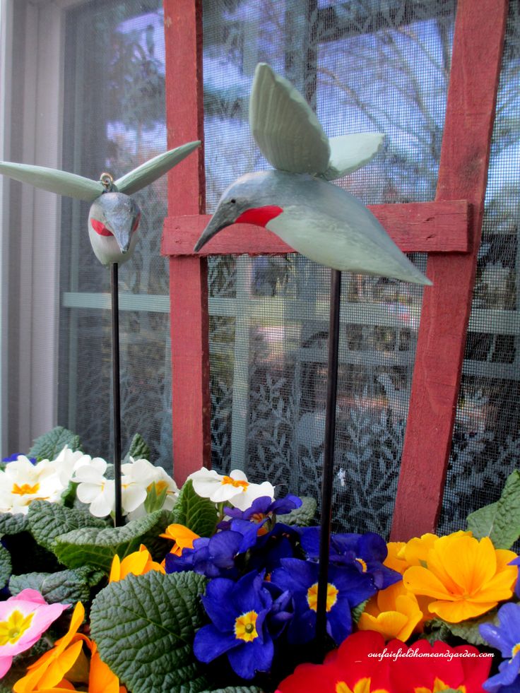 Windowbox with Primroses and Hummingbirds https://lolajack.jp.net/spring-windowboxes/