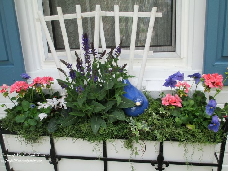 Windowbox with Geraniums, Cyclamen, Pansies and Salvia https://lolajack.jp.net/spring-windowboxes/