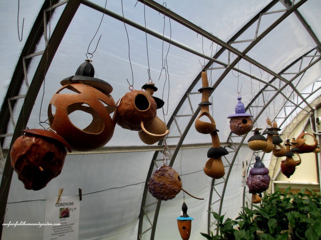 Carved Gourds Display https://lolajack.jp.net/road-trip-lancaster-county-greenhouses/