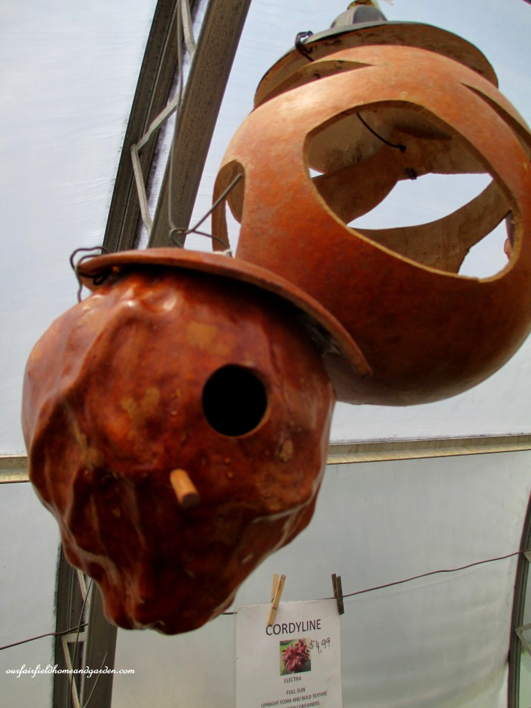 Gourd birdhouses and feeders https://lolajack.jp.net/road-trip-lancaster-county-greenhouses/
