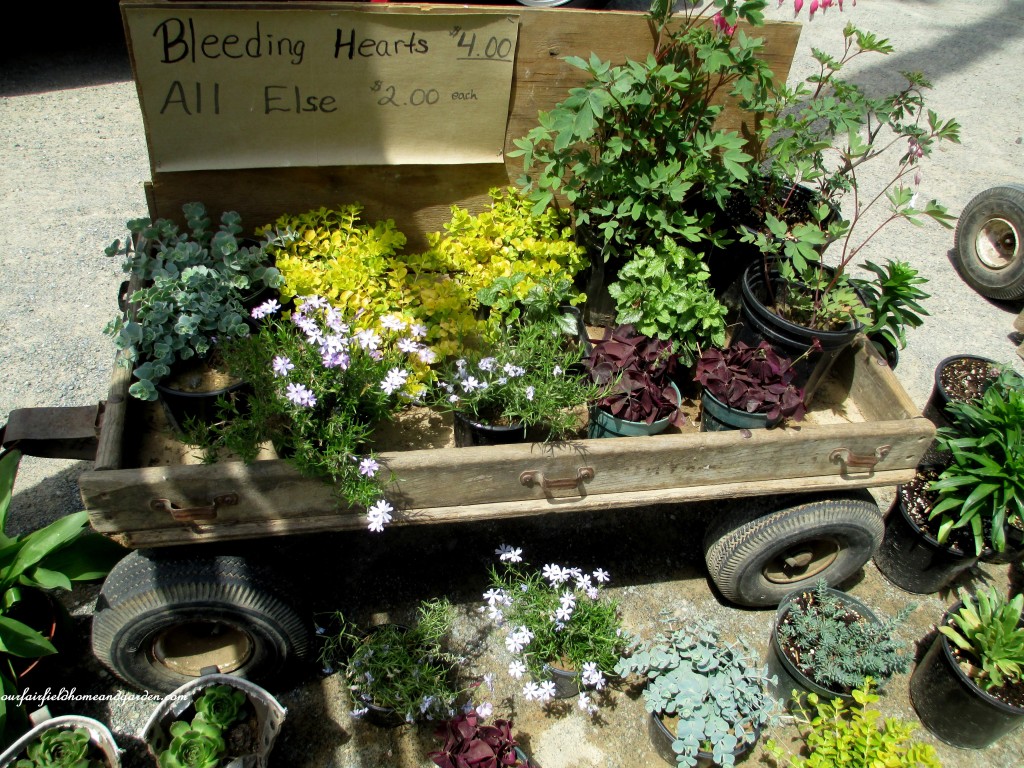 roadside stand https://lolajack.jp.net/road-trip-lancaster-county-greenhouses/
