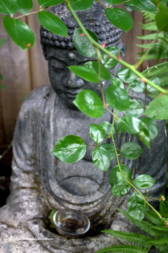 Buddha ~ Cottage In the Roses https://lolajack.jp.net/cottage-in-the-roses/