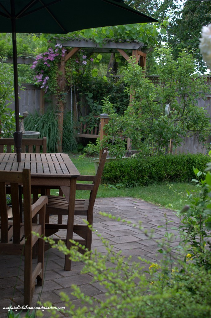 Patio ~ Cottage In the Roses https://lolajack.jp.net/cottage-in-the-roses/