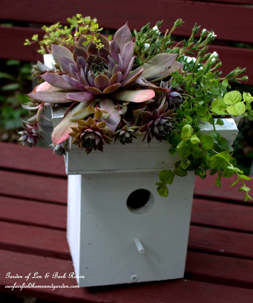 DIY Greenroof Birdhouse https://lolajack.jp.net/diy-easy-greenroof-birdhouses/