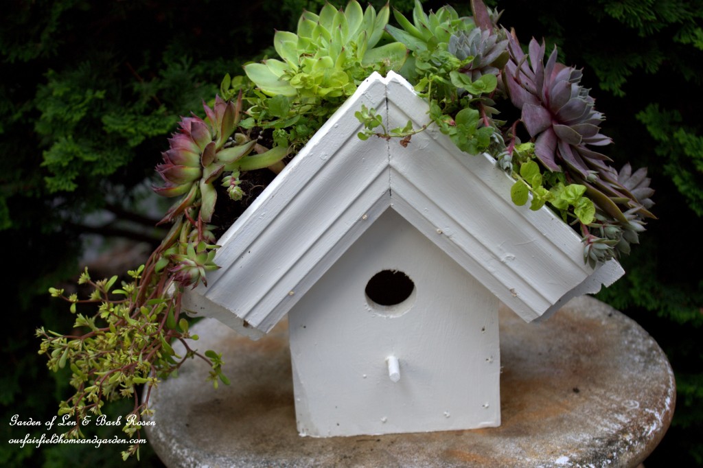 DIY Greenroof Birdhouse https://lolajack.jp.net/diy-easy-greenroof-birdhouses/