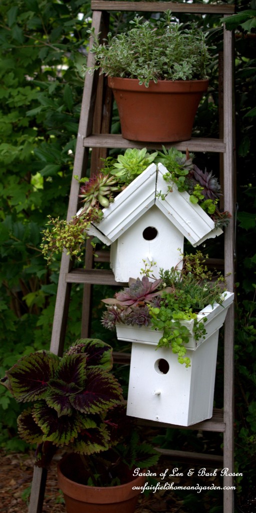 Greenroof Birdhouses https://lolajack.jp.net/diy-easy-greenroof-birdhouses/