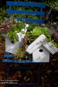 DIY Greenroof Birdhouses https://lolajack.jp.net/diy-easy-greenroof-birdhouses/