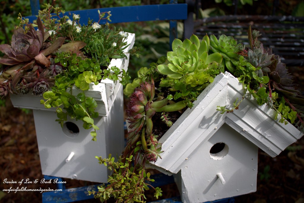 DIY Greenroof Birdhouses https://lolajack.jp.net/diy-easy-greenroof-birdhouses/