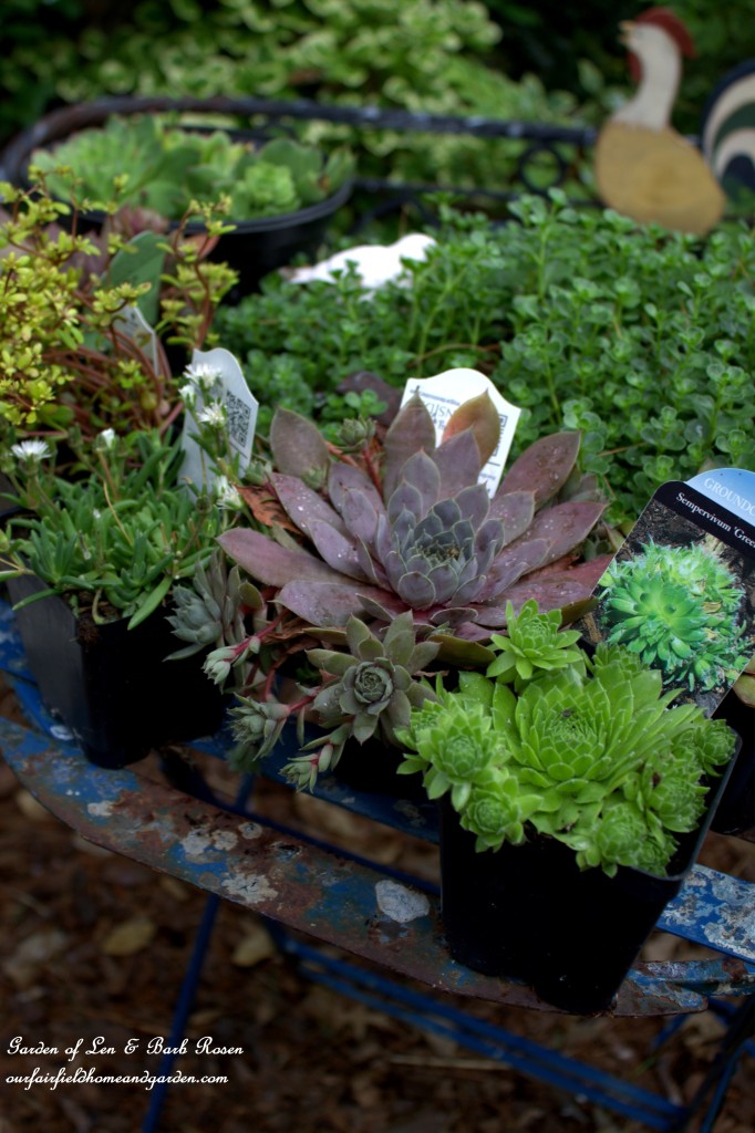 DIY Greenroof Birdhouses https://lolajack.jp.net/diy-easy-greenroof-birdhouses/