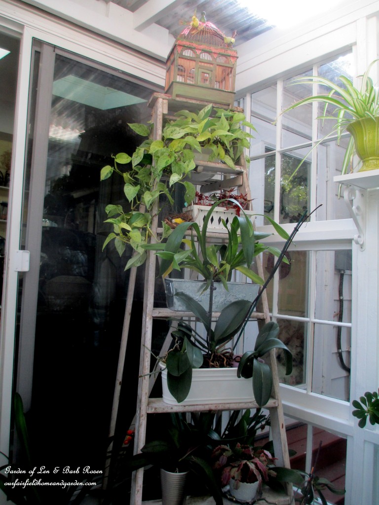 Repurposed Windows Greenhouse https://lolajack.jp.net/building-a-repurposed-windows-greenhouse/