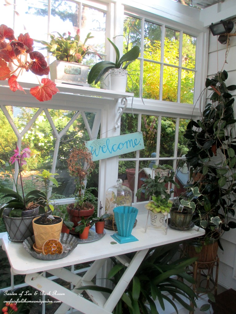 Repurposed Windows Greenhouse https://lolajack.jp.net/building-a-repurposed-windows-greenhouse/