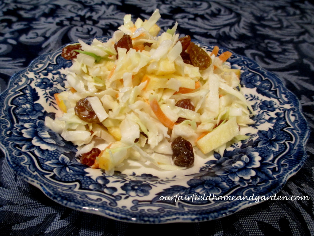 Fruity Coleslaw https://lolajack.jp.net/fruity-coleslaw-a-healthy-recipe-from-our-fairfield-home-garden/