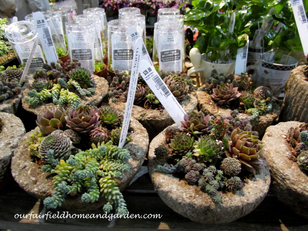 2017 Philadelphia Flower Show https://lolajack.jp.net/field-trip-philadelphia-flower-show/