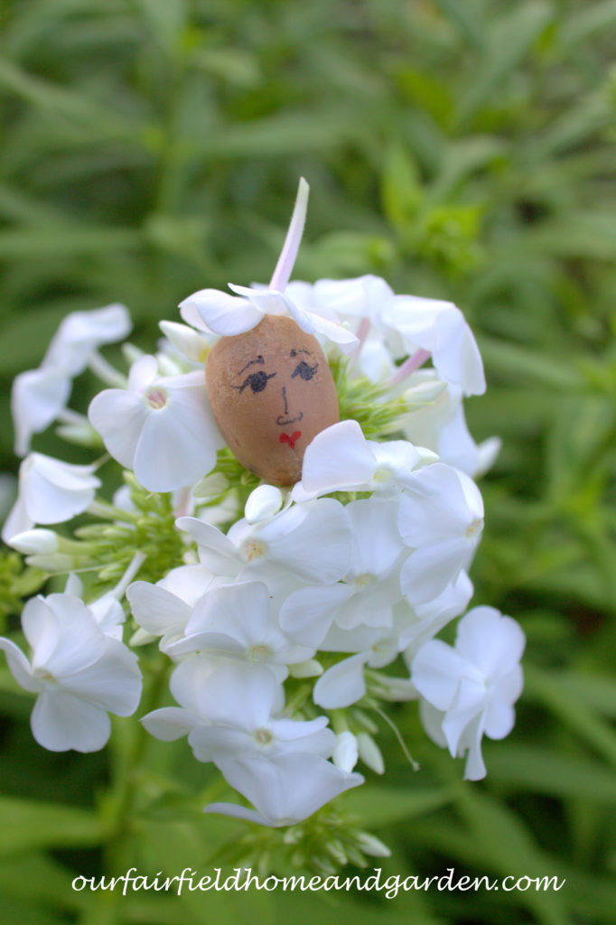 Flower Fairies https://lolajack.jp.net/flower-fairies/