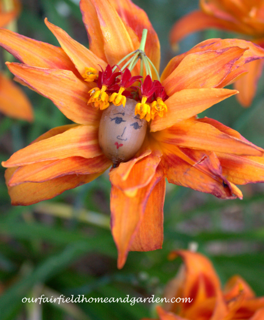 Flower Fairy https://lolajack.jp.net/flower-fairies/