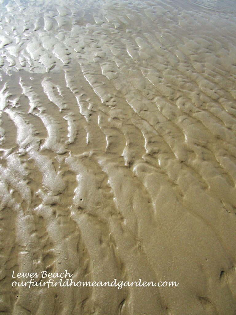 Lewes Beach, DE https://lolajack.jp.net/field-trip-lewes-beach-get-a-way/