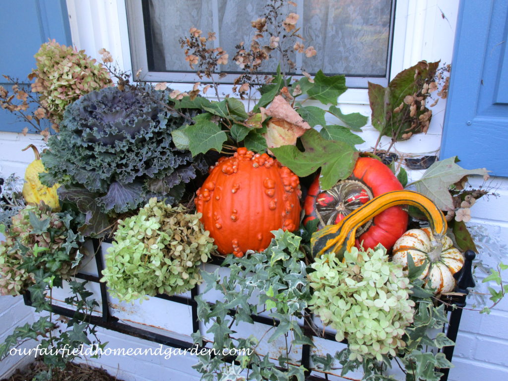 Decorate for Fall Naturally https://lolajack.jp.net/decorate-for-fall-naturally/
