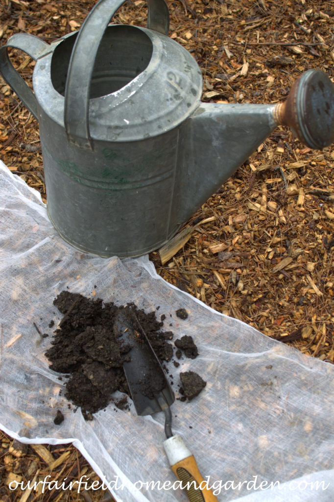 Cheesecloth in the Garden https://lolajack.jp.net/cheesecloth-uses-in-the-garden-practical-and-recyclable/