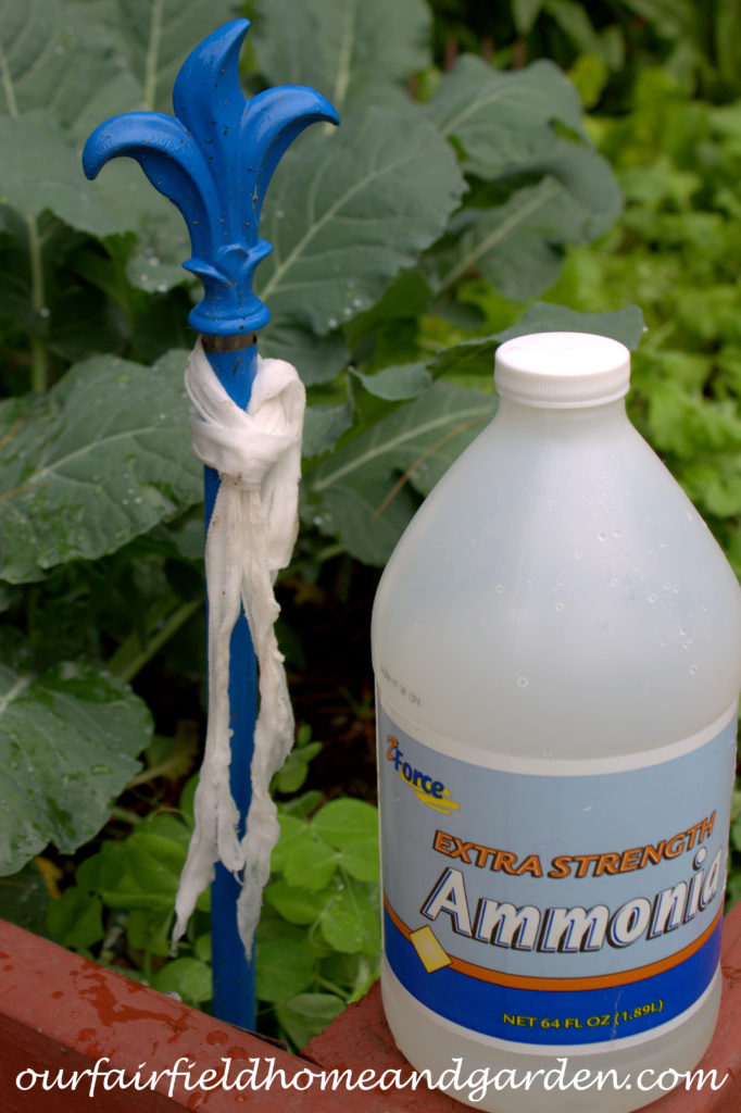 Cheesecloth in the Garden https://lolajack.jp.net/cheesecloth-uses-in-the-garden-practical-and-recyclable/