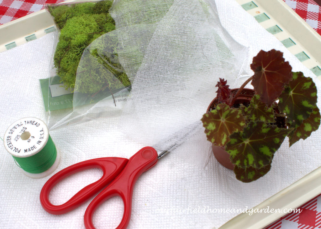 Cheesecloth in the Garden https://lolajack.jp.net/cheesecloth-uses-in-the-garden-practical-and-recyclable/