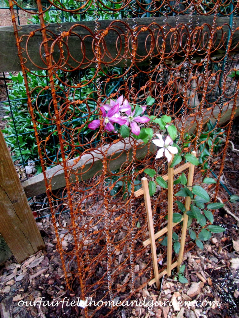 Bed Springs Trellis  https://lolajack.jp.net/bed-springs-trellis/