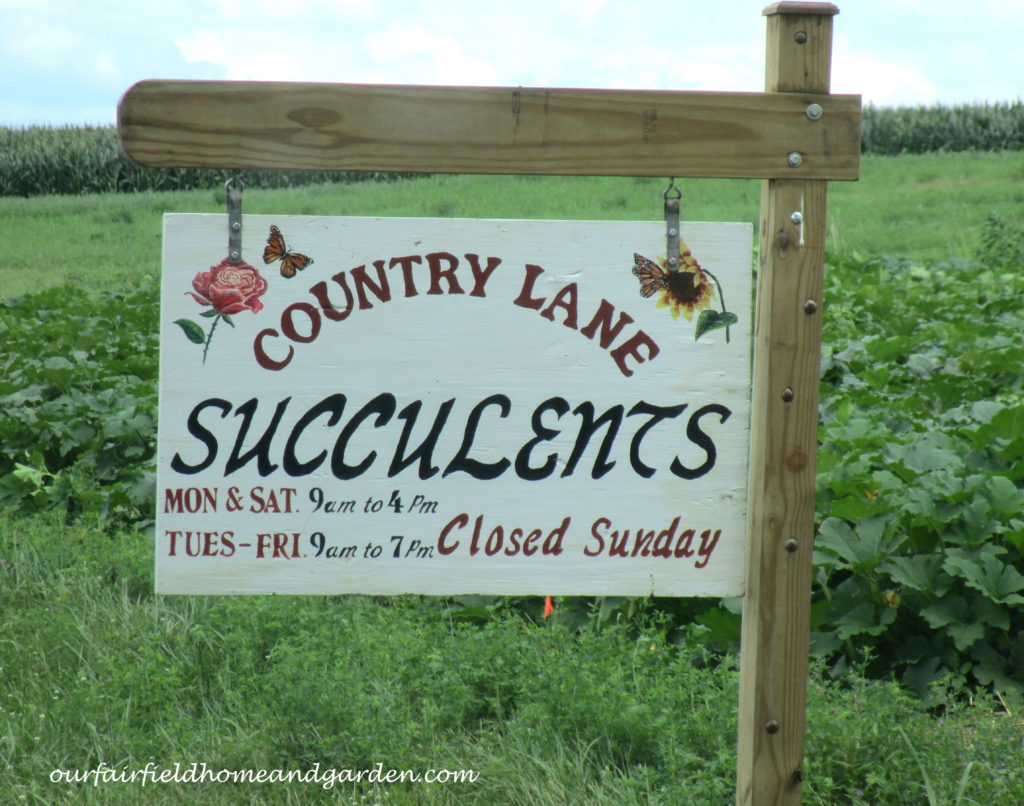 Country Lane Succulents https://lolajack.jp.net/field-trip-country-lane-succulents-new-holland-pa/