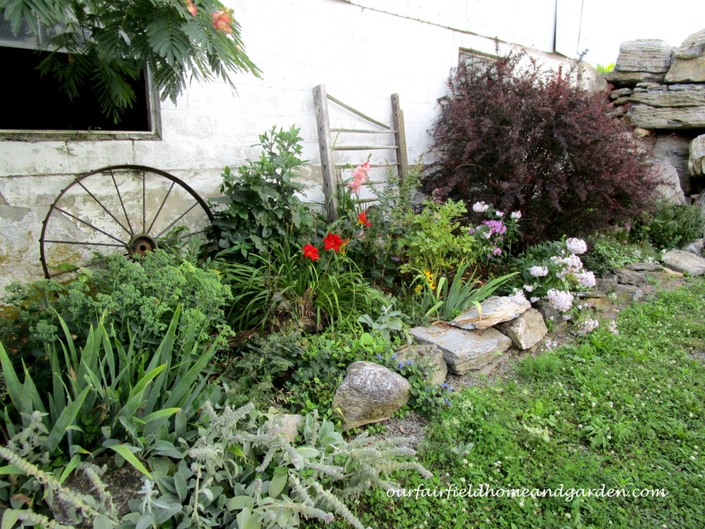 Country Lane Succulents https://lolajack.jp.net/field-trip-country-lane-succulents-new-holland-pa/