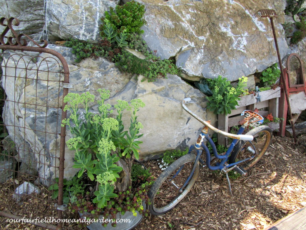 Country Lane Succulents https://lolajack.jp.net/field-trip-country-lane-succulents-new-holland-pa/
