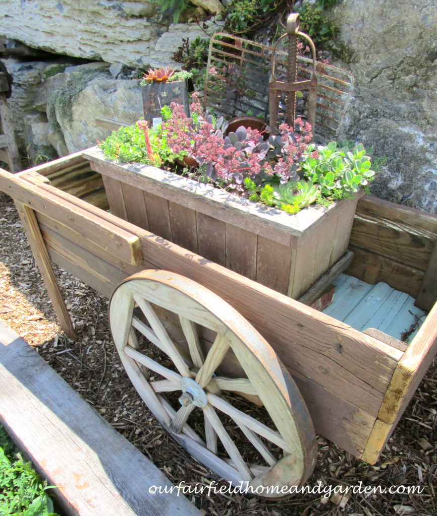 Country Lane Succulents https://lolajack.jp.net/field-trip-country-lane-succulents-new-holland-pa/