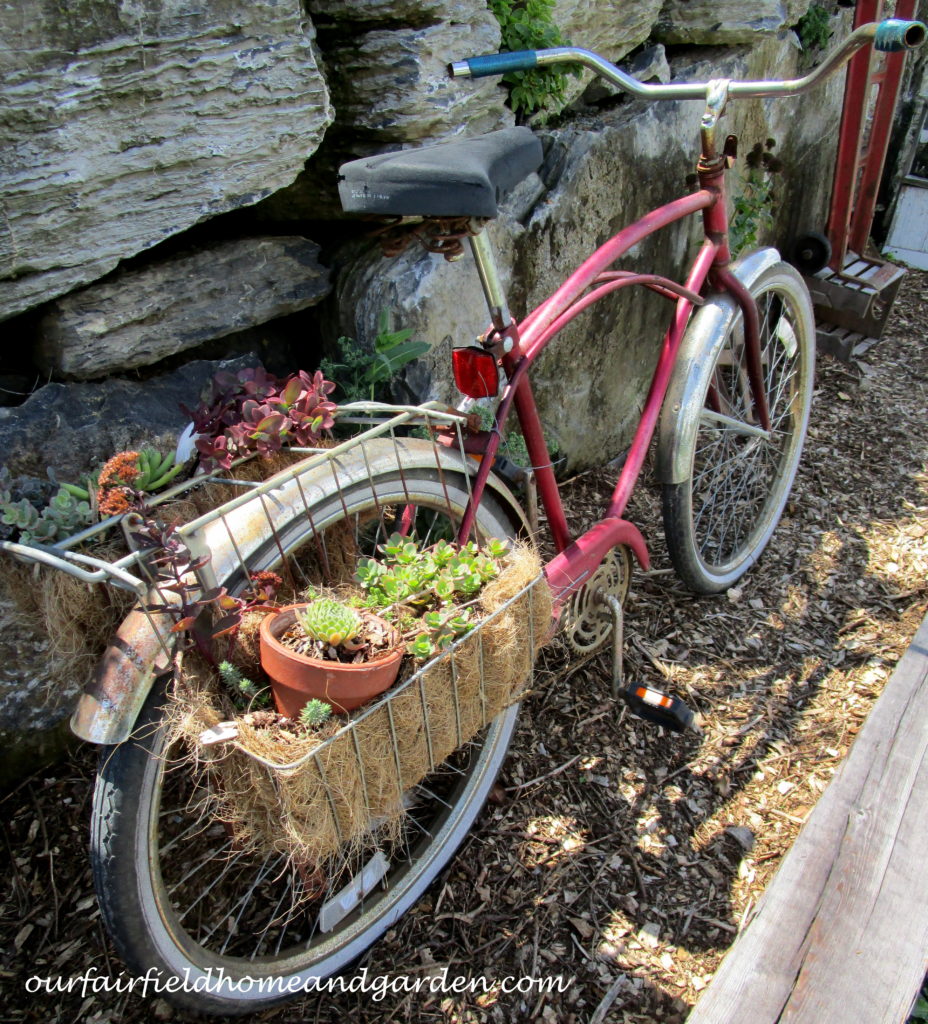 Country Lane Succulents https://lolajack.jp.net/field-trip-country-lane-succulents-new-holland-pa/