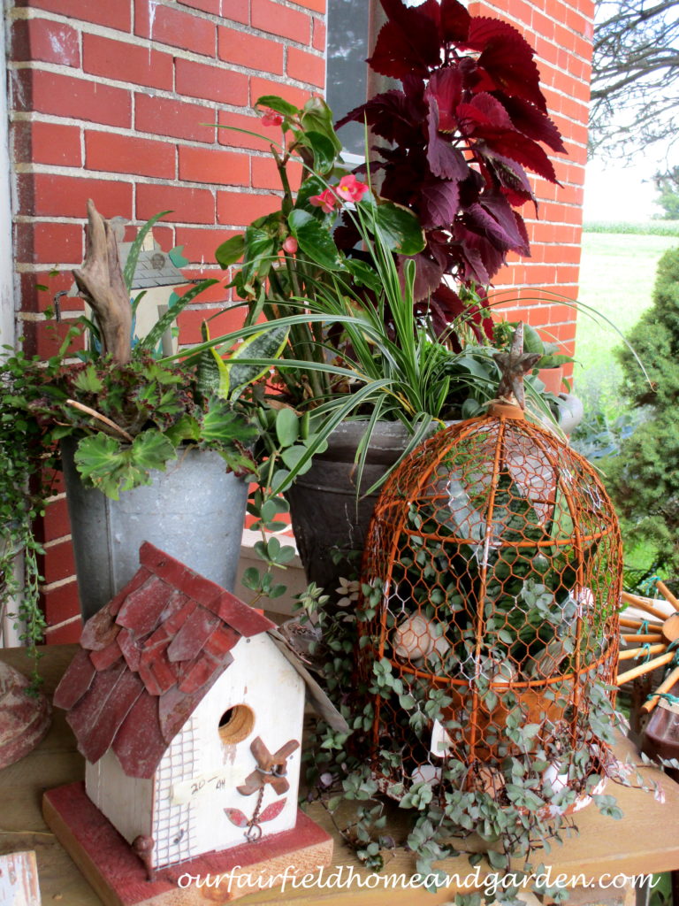 Country Lane Succulents https://lolajack.jp.net/field-trip-country-lane-succulents-new-holland-pa/