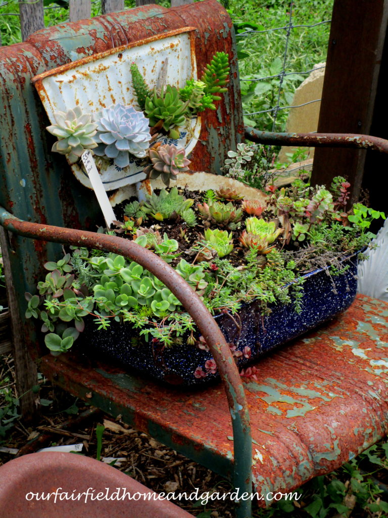 Country Lane Succulents https://lolajack.jp.net/field-trip-country-lane-succulents-new-holland-pa/