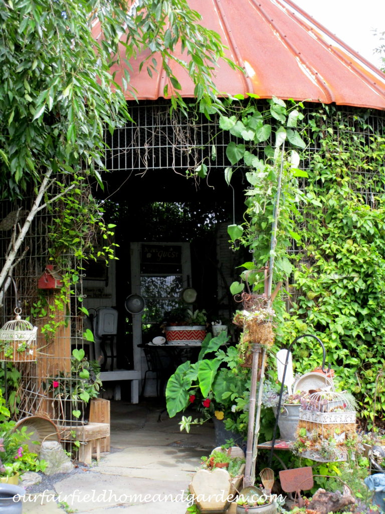 Country Lane Succulents https://lolajack.jp.net/field-trip-country-lane-succulents-new-holland-pa/