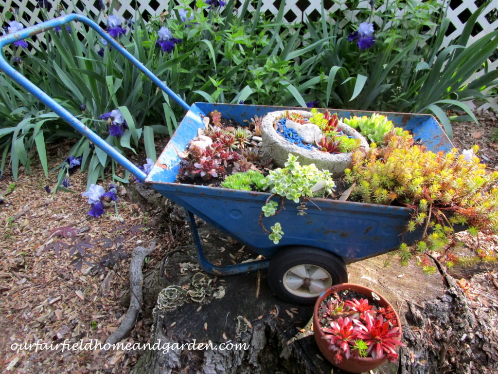 Succulent Wheelbarrow Planter https://lolajack.jp.net/succulent-wheelbarrow-planter/