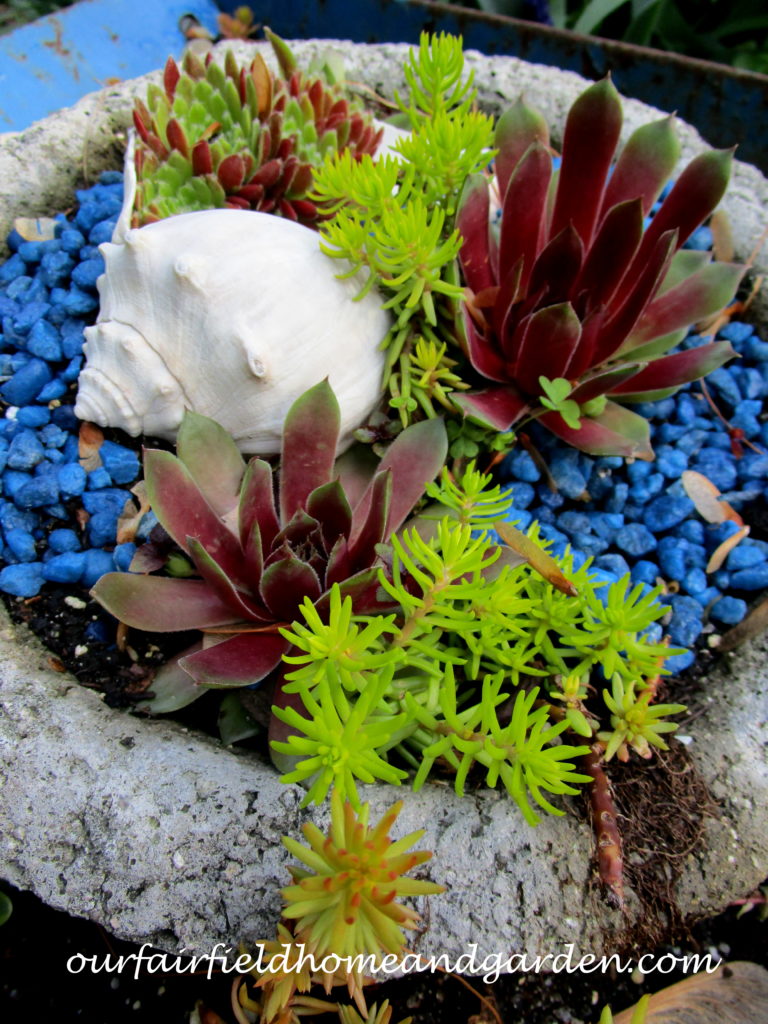Succulent Wheelbarrow Planter https://lolajack.jp.net/succulent-wheelbarrow-planter/